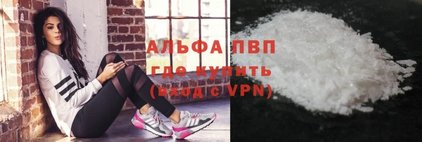 гидра Аркадак
